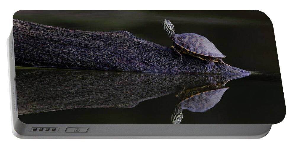Water Portable Battery Charger featuring the photograph Abstract Turtle by Douglas Stucky