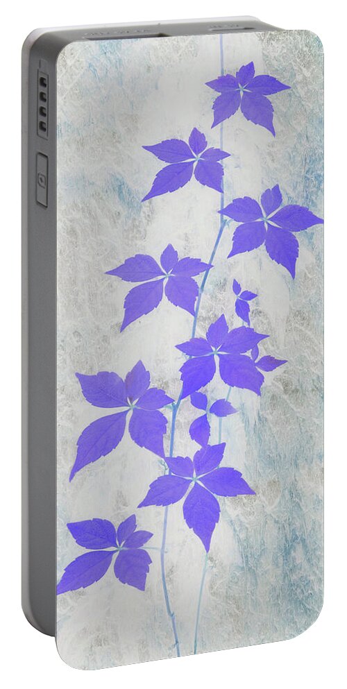 Vine Portable Battery Charger featuring the photograph Abstractions from Nature - Wild Vine and Bark by Mitch Spence