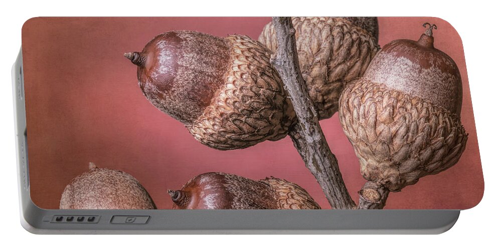 Acorn Portable Battery Charger featuring the photograph Acorns by Tom Mc Nemar