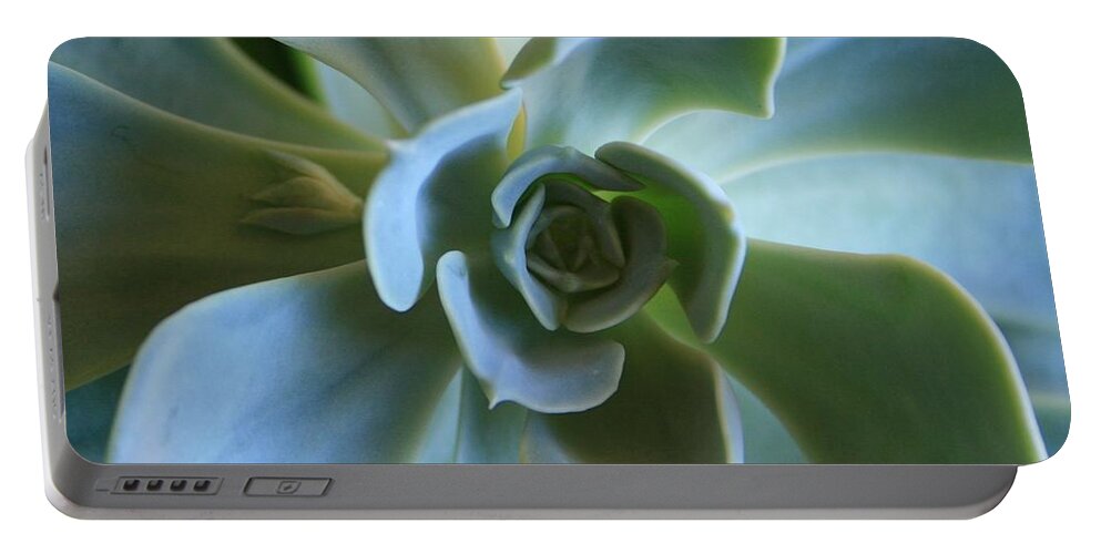 Aeonium Portable Battery Charger featuring the photograph Aeonium by Marna Edwards Flavell