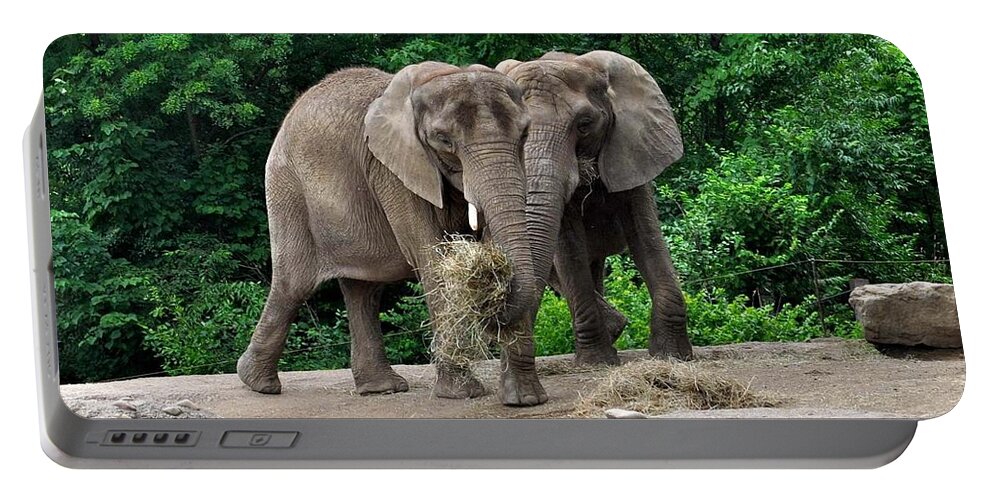 African Elephant Portable Battery Charger featuring the photograph African Elephant by Mariel Mcmeeking