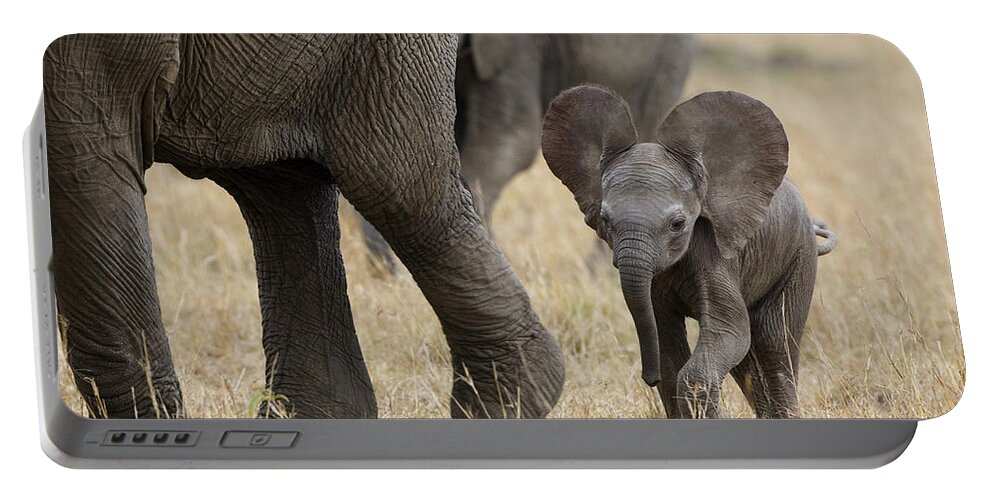 00784043 Portable Battery Charger featuring the photograph African Elephant Mother And Under 3 by Suzi Eszterhas