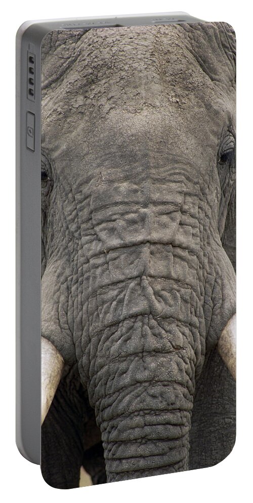 00201028 Portable Battery Charger featuring the photograph African Elephant Portrait by Gerry Ellis