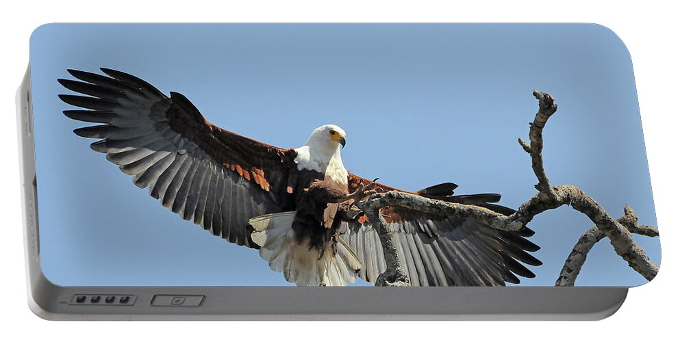 Africa Portable Battery Charger featuring the photograph African Fish Eagle by Ted Keller
