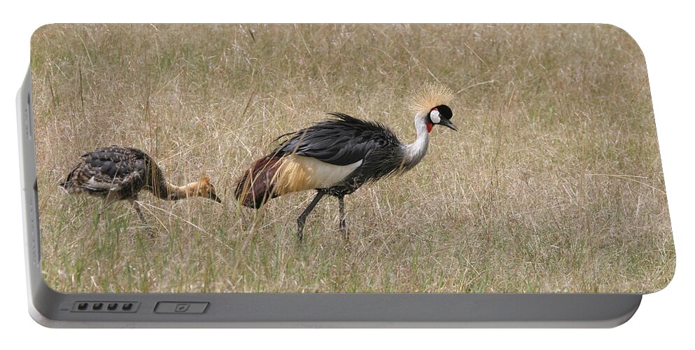 African Gray Crown Crane Portable Battery Charger featuring the photograph African Grey Crown Crane by Joseph G Holland