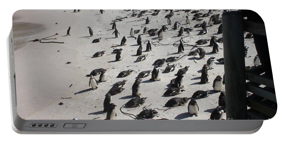 Boulders Portable Battery Charger featuring the photograph African Penguins on Beach by Bev Conover