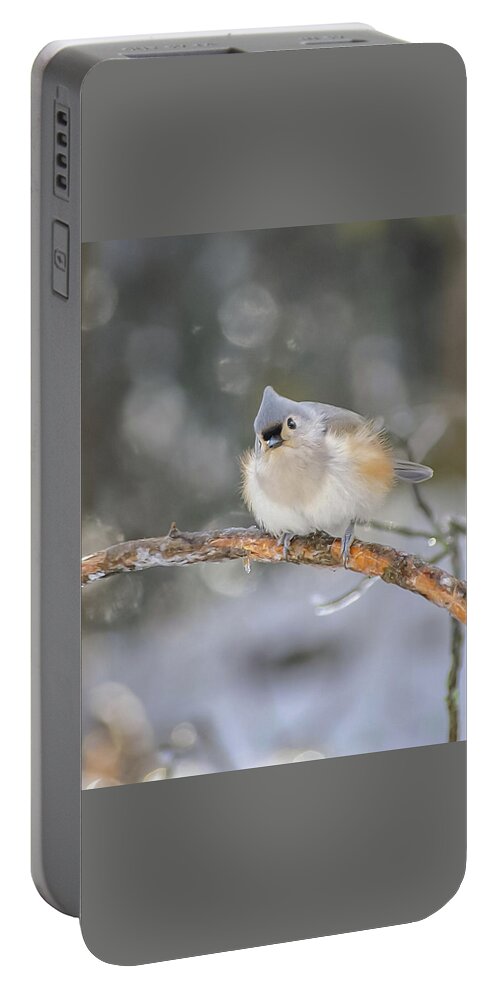 Ice Portable Battery Charger featuring the photograph After the Ice Storm by Holly Ross