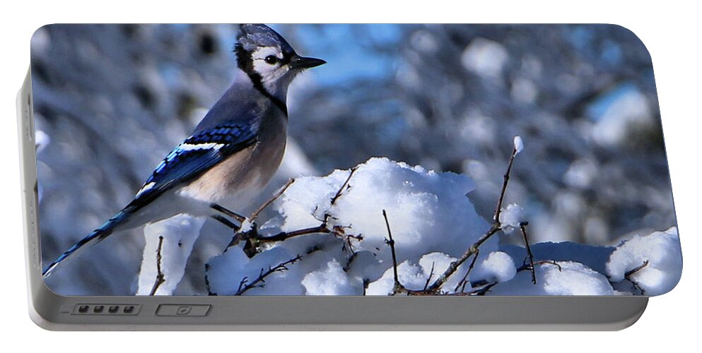 Animals Portable Battery Charger featuring the photograph After the Storm by Sandra Huston