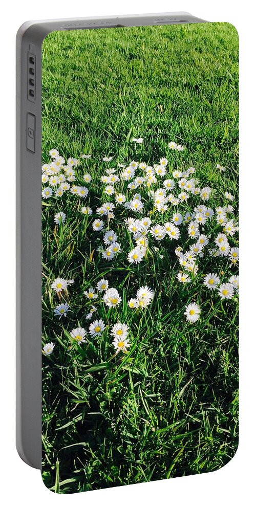 Daisies Portable Battery Charger featuring the photograph Afternoon Daisies by Ingrid Van Amsterdam