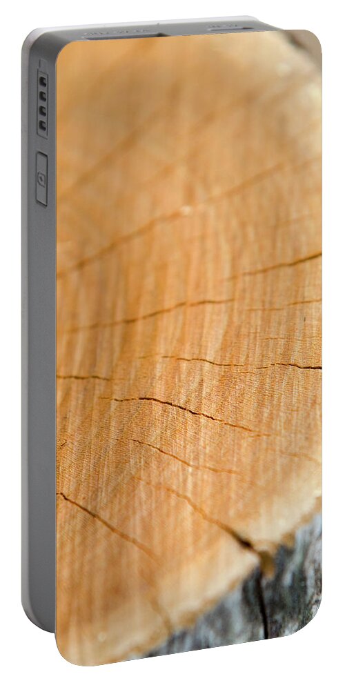 Wood Portable Battery Charger featuring the photograph Against The Grain by Christina Rollo
