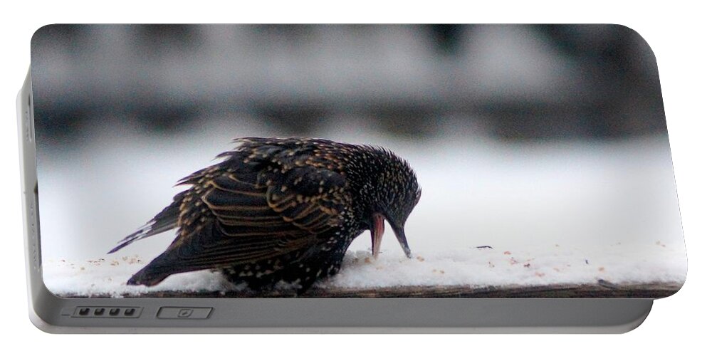 Starlings Portable Battery Charger featuring the photograph Ahh...  Tasty Snow by Tracey Vivar