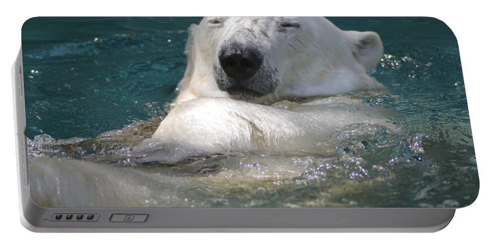Bear Portable Battery Charger featuring the photograph Ahhh by Kathy Barney