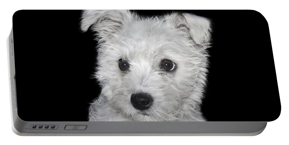 White Portable Battery Charger featuring the photograph Alert Puppy on a transparent background by Terri Waters