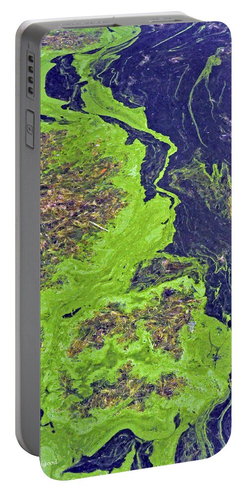 Nature Portable Battery Charger featuring the photograph Algae on a Pond by Kay Lovingood