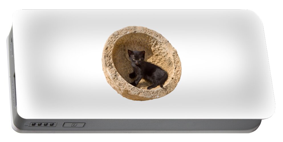 Kitten Portable Battery Charger featuring the photograph Black Kitten 2 by Mikehoward Photography