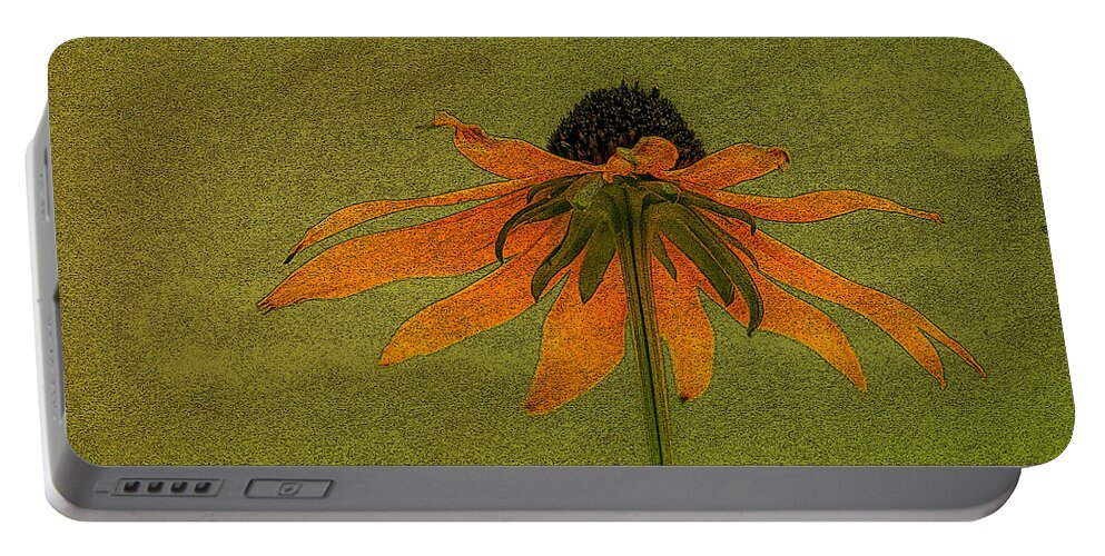 Flower Portable Battery Charger featuring the photograph Alice's Dream by Skip Tribby