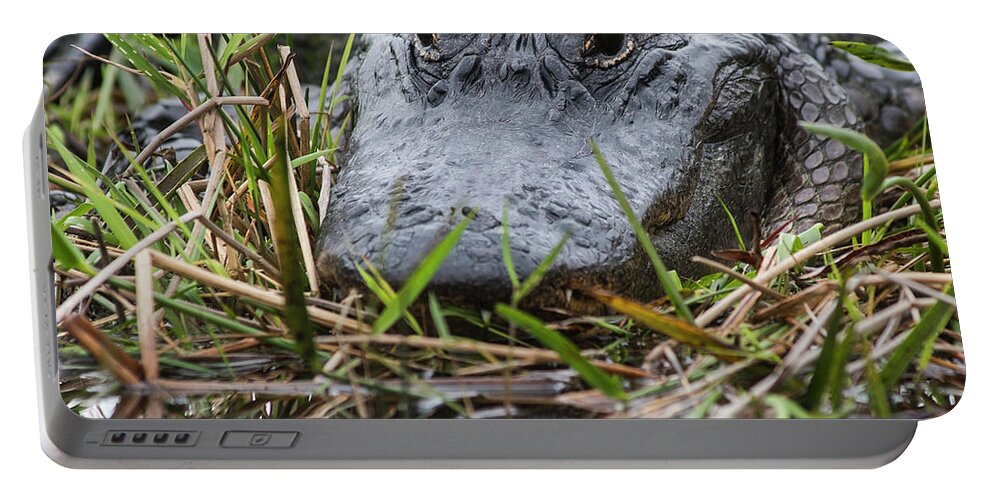 Oxahatchee Portable Battery Charger featuring the photograph Alligator closeup-0642 by Steve Somerville