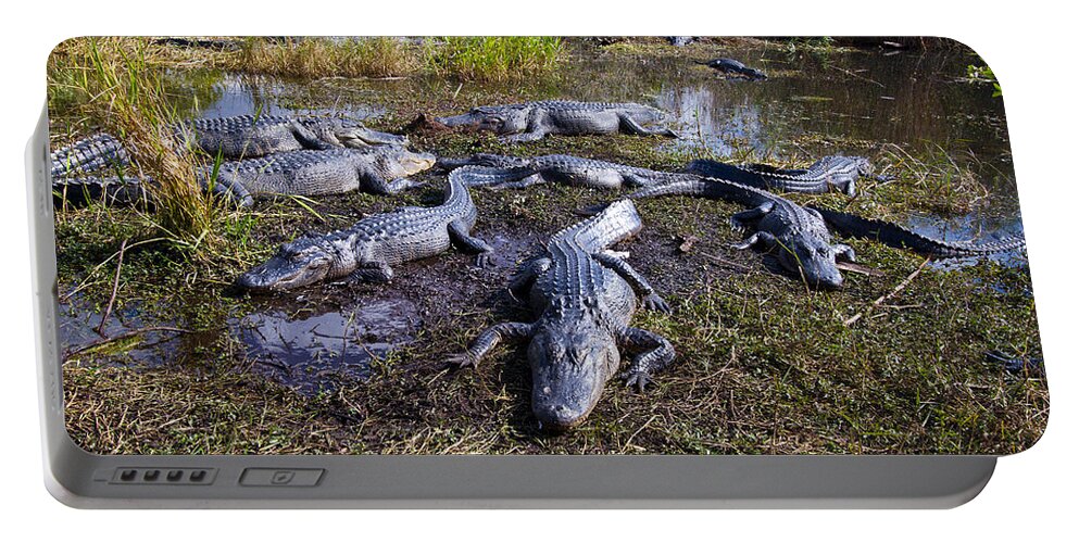 Nature Portable Battery Charger featuring the photograph Alligators 280 by Michael Fryd