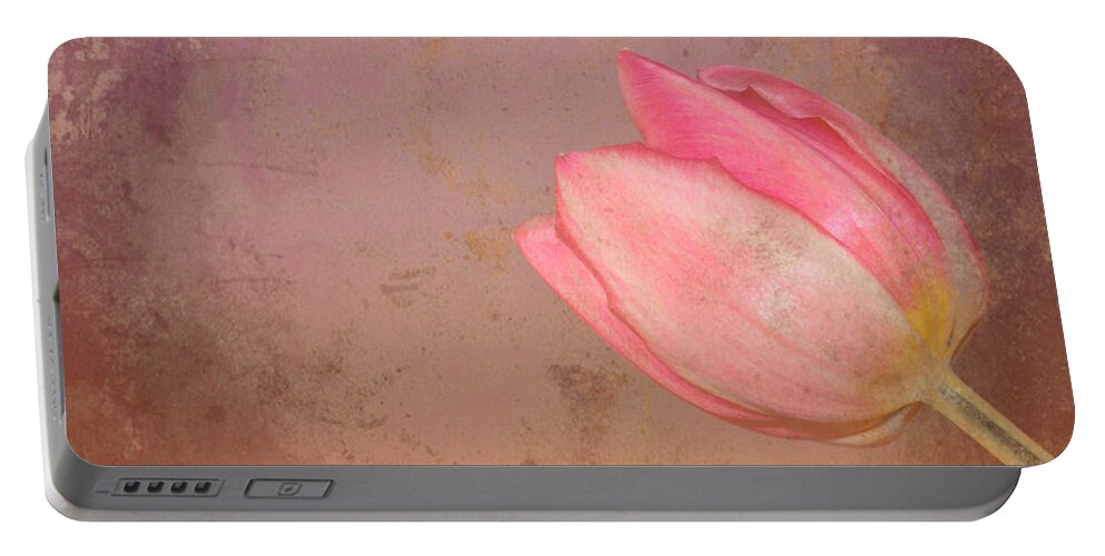 Tulip Portable Battery Charger featuring the photograph Allure by Traci Cottingham