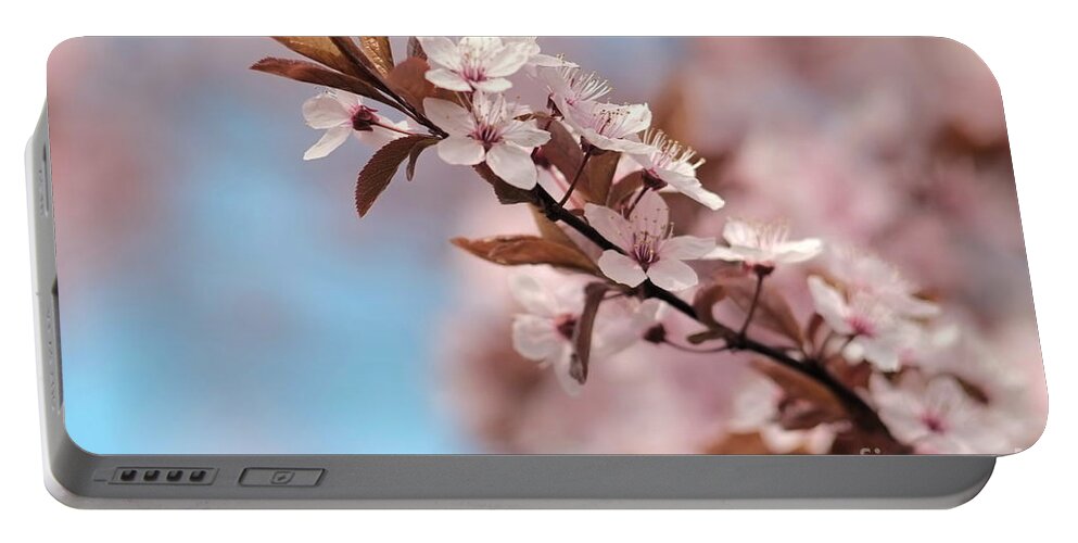 Bloom Portable Battery Charger featuring the photograph Almond Blossom by Dariusz Gudowicz