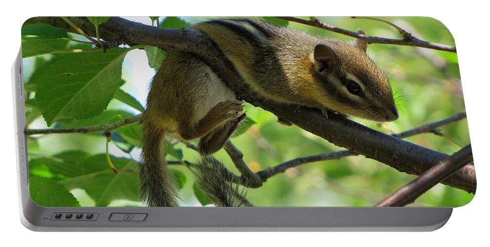 Chipmonk Portable Battery Charger featuring the photograph Almost Made It by Cheryl Charette