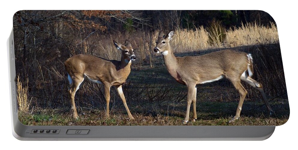 Deer Portable Battery Charger featuring the photograph Almost Spring by Bill Stephens