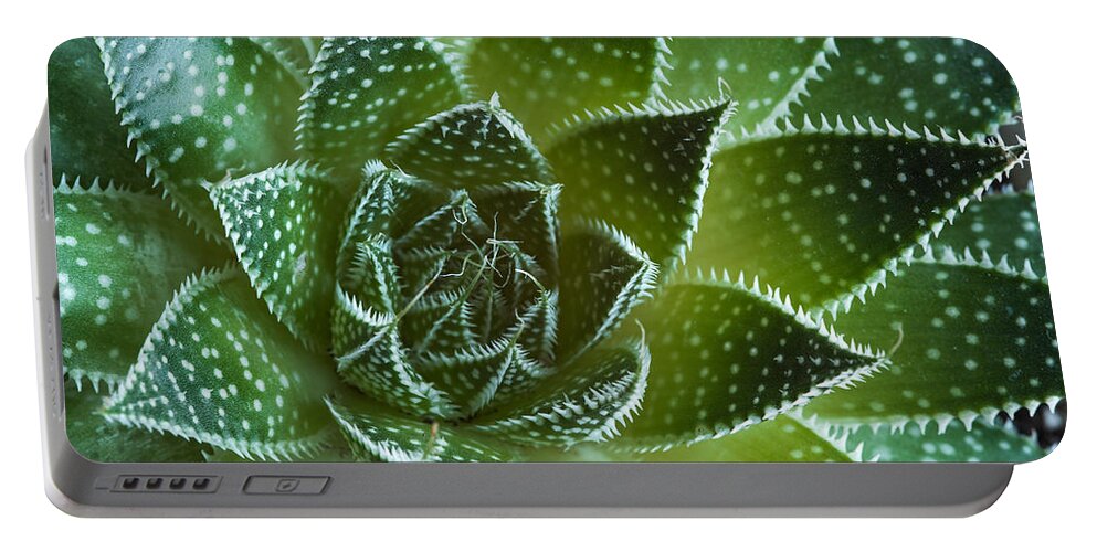 Flower Abstract Portable Battery Charger featuring the photograph Aloe aristata Succulent Plant abstract details by Michalakis Ppalis