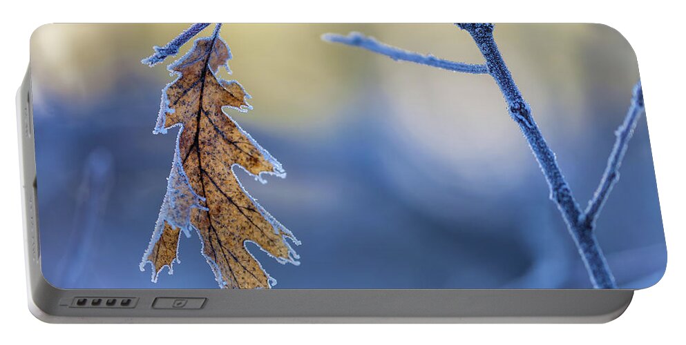 Landscape Portable Battery Charger featuring the photograph Alone In The Cold by Jonathan Nguyen