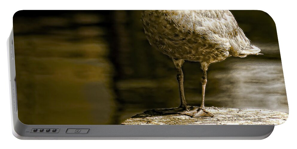 Wildlife Portable Battery Charger featuring the photograph Alone by Wayne Enslow