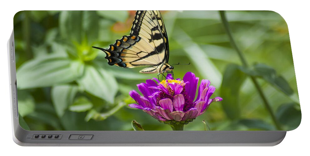 Along Portable Battery Charger featuring the photograph Along Came the Butterfly by Bill Cannon