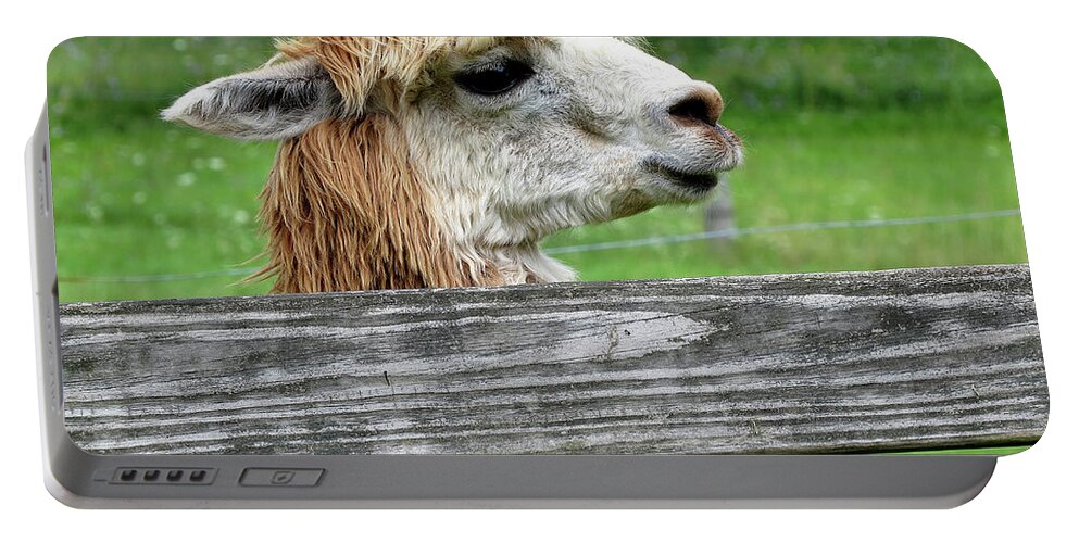 Alpaca Portable Battery Charger featuring the photograph Alpaca Profile by Linda Stern