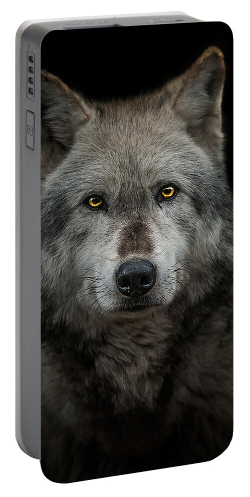 Alpha Portable Battery Charger featuring the photograph Alpha Male by Paul Neville