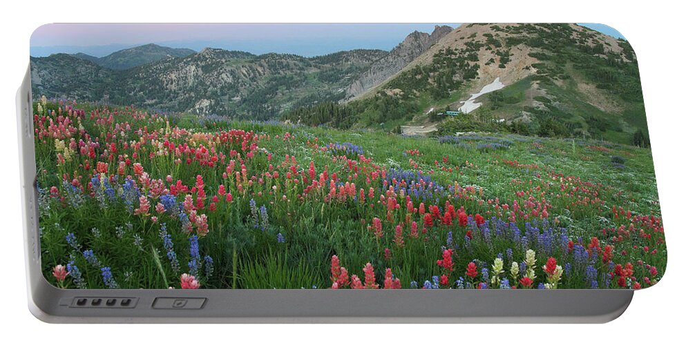 Landscape Portable Battery Charger featuring the photograph Alpine Wildflowers and View at Sunset by Brett Pelletier