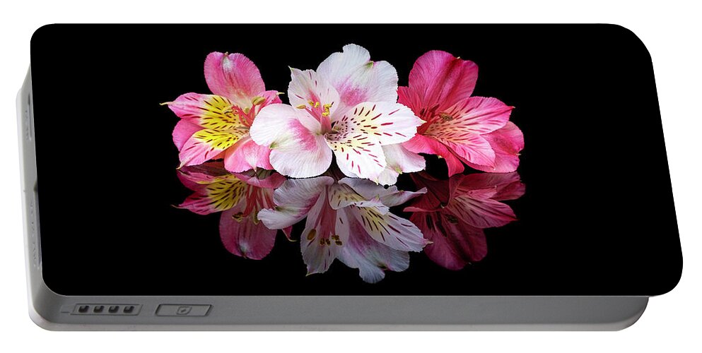 Flower Portable Battery Charger featuring the photograph Alstromeria Pair by Michelle Whitmore