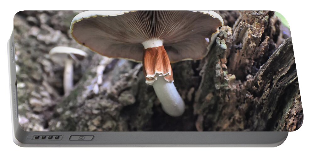 White Mushroom Portable Battery Charger featuring the photograph Amanita by Flees Photos