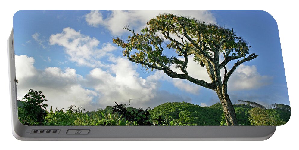 Cook Islands Portable Battery Charger featuring the photograph Ambala Tree by Becqi Sherman