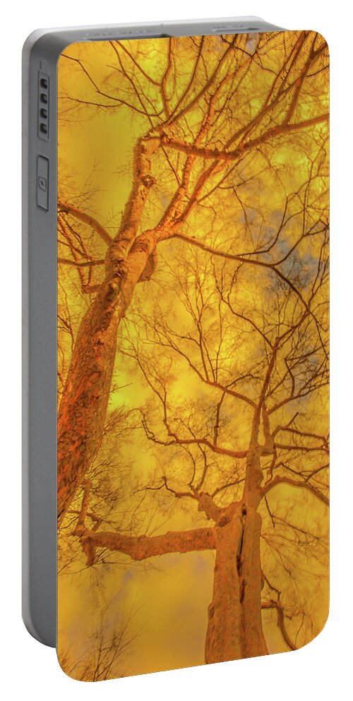 Trees Portable Battery Charger featuring the photograph Amber Tree Abstract by Bruce Pritchett