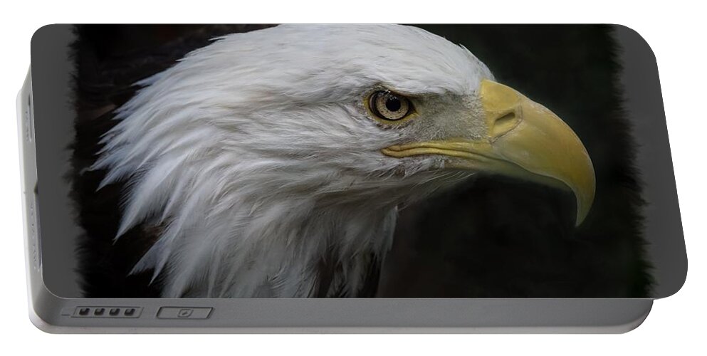 Animal Portable Battery Charger featuring the photograph American Bald Eagle by Ernest Echols