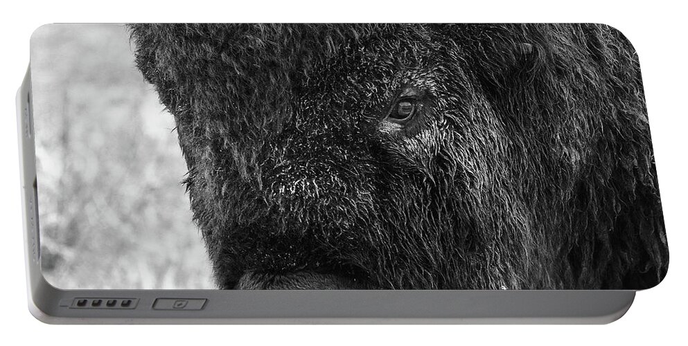 Bison Portable Battery Charger featuring the photograph American Bison Closeup in Black and White by Tony Hake