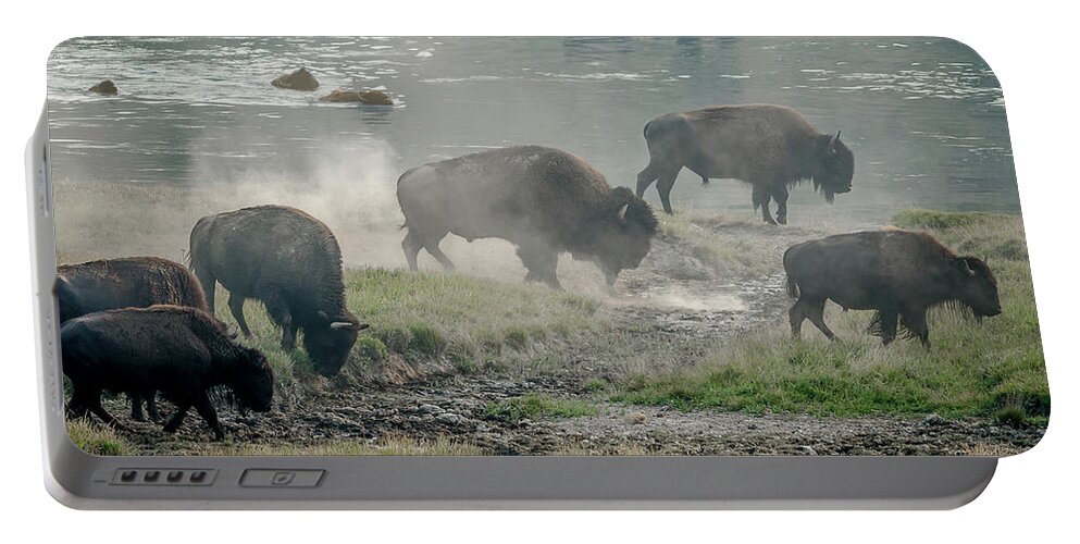 Buffalos Portable Battery Charger featuring the photograph American Buffalo by Jaime Mercado
