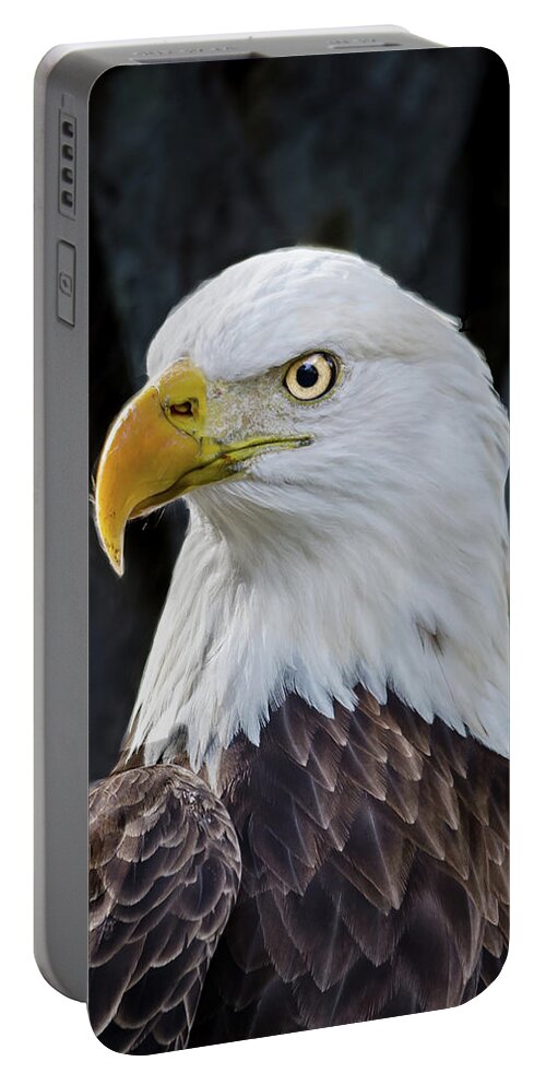 American Eagle Portable Battery Charger featuring the photograph American Eagle by Jaime Mercado