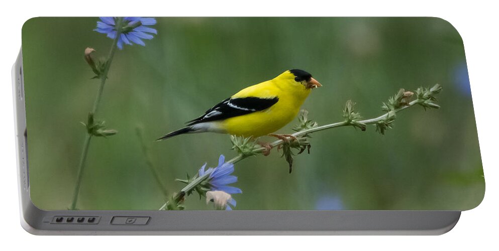 American Goldfinch Portable Battery Charger featuring the photograph American Goldfinch   by Holden The Moment