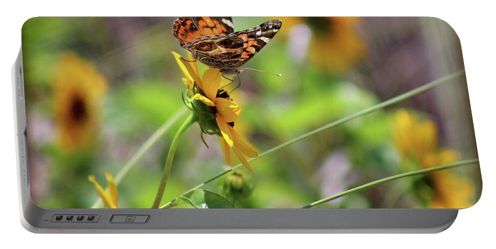 Butterfly Portable Battery Charger featuring the photograph American Lady Butterfly by the Beach by Karen Adams