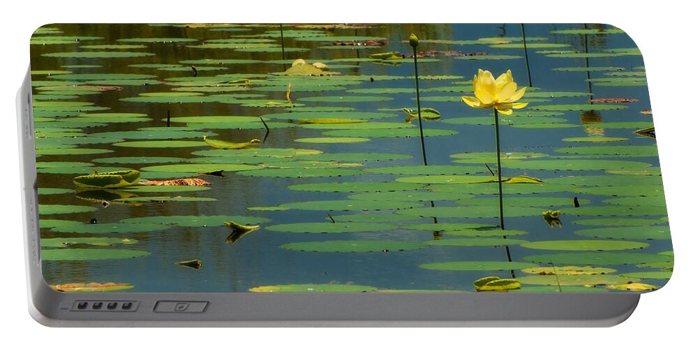 American Lotus Portable Battery Charger featuring the photograph American Lotus by Richard Leighton