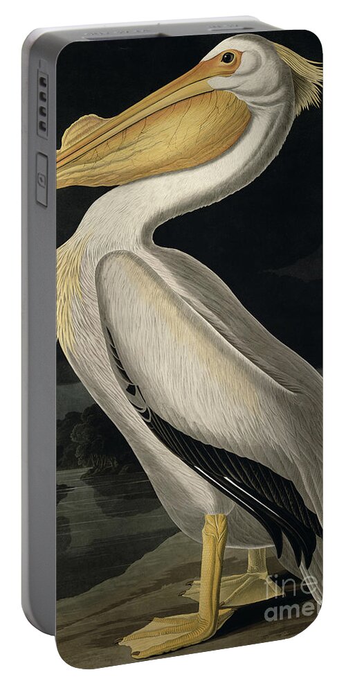 American White Pelican Portable Battery Charger featuring the painting American White Pelican by John James Audubon