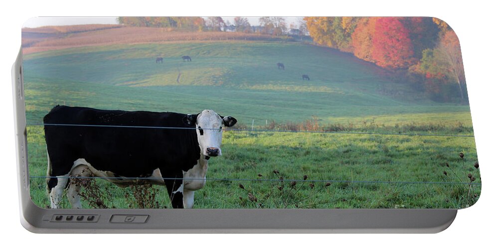 Amish Country Portable Battery Charger featuring the photograph Amish Cow Early Morning 5788 by Jack Schultz