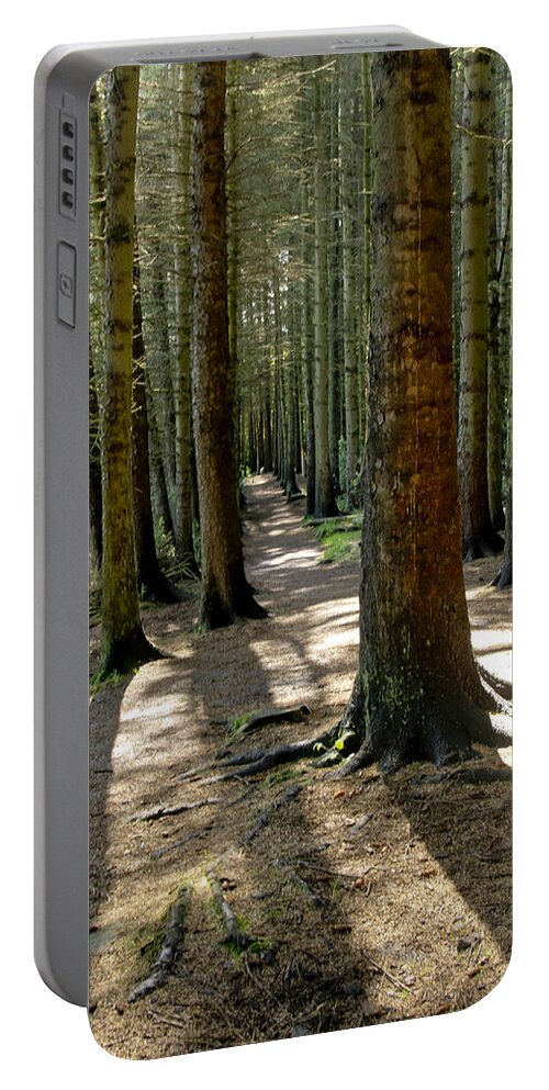 Beecraigs Portable Battery Charger featuring the photograph Among forest trunks by Elena Perelman
