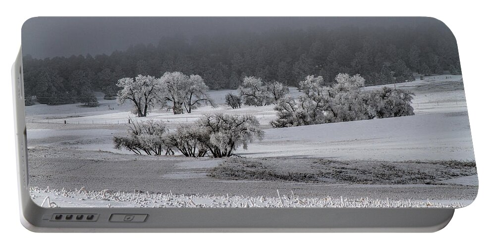 Winter Portable Battery Charger featuring the photograph An Affair of Cottonwoods by Alana Thrower