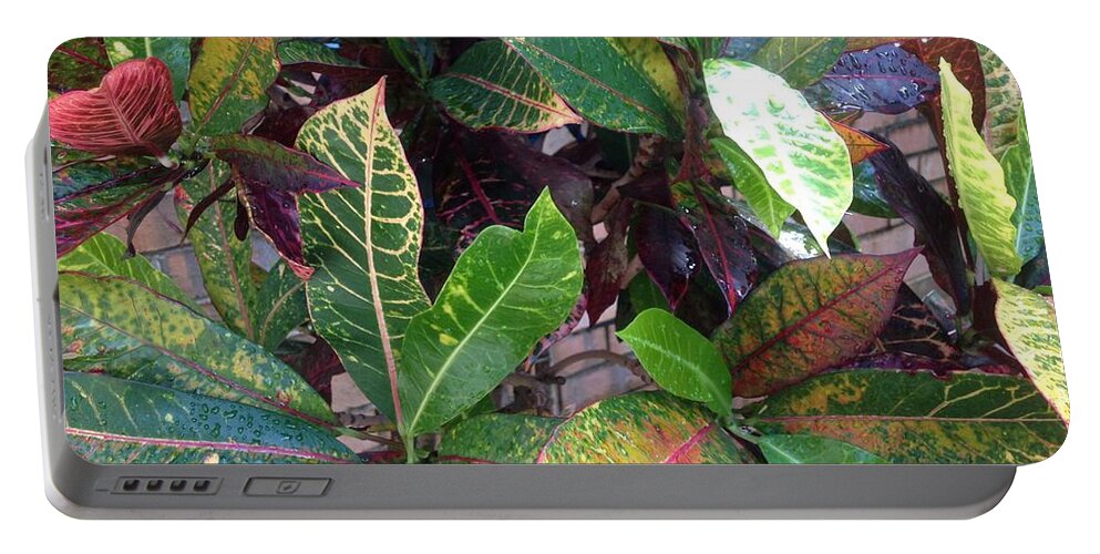 Colours Portable Battery Charger featuring the photograph Colours of Crotons by By Divine Light