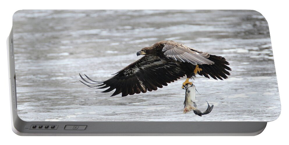 Bald Eagle Portable Battery Charger featuring the photograph An Eagles Catch 10 by Brook Burling